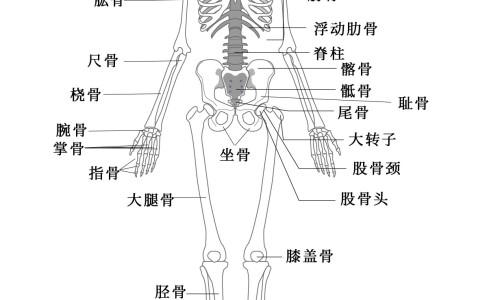 看望心脏支架病人买什么营养品-【探望心脏支架病人买什么水果好】看望心脏支架的病人带什么礼品比较好 - 探望心脏支架病人买什么网